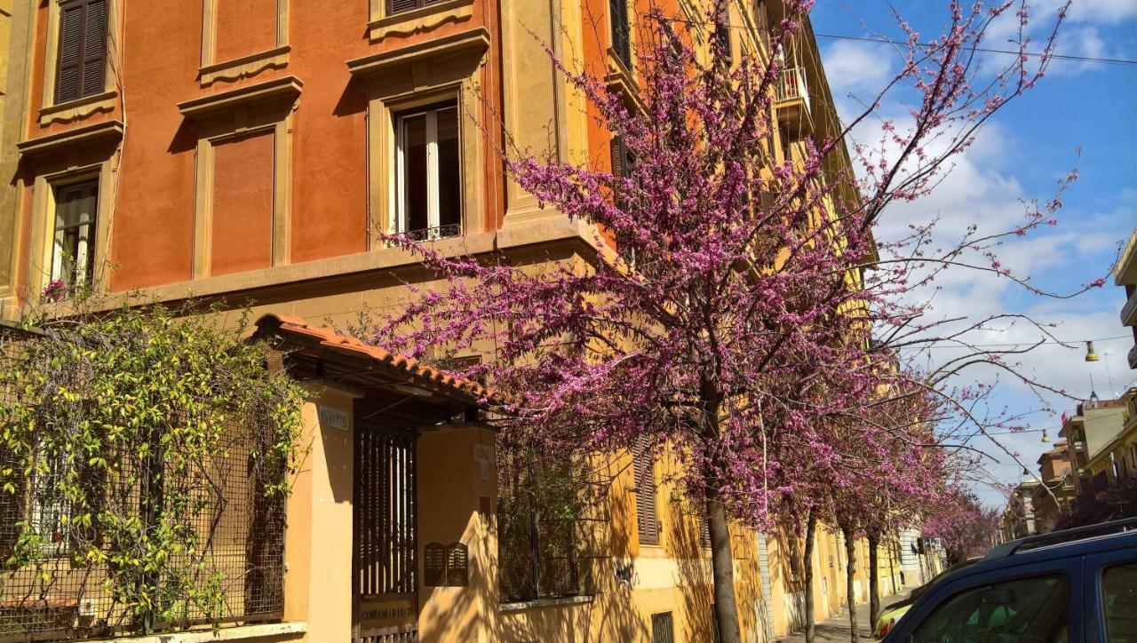 B&B Musei Vaticani Roma Ngoại thất bức ảnh